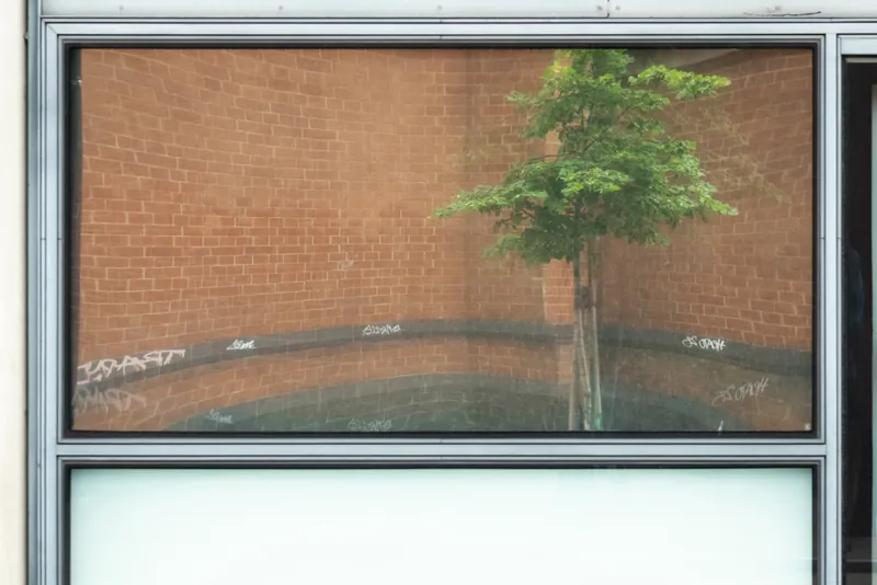 Office window I, St. Pancras. 2024.